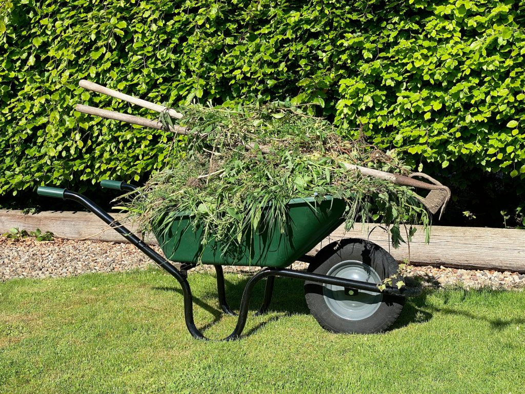 Gardening - wheelbarrow full of weeds
