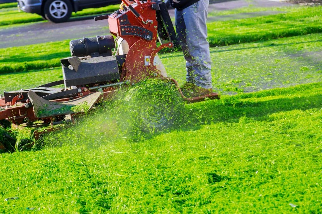 Man cutting lawn with using a gasoline mower in the home garden grass